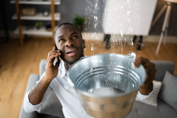 Best Water damage cleanup near me  in Bagdad, AZ