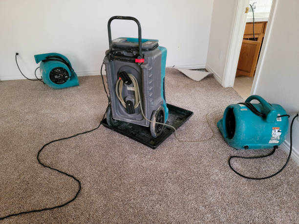 Best Basement water damage restoration  in Bagdad, AZ