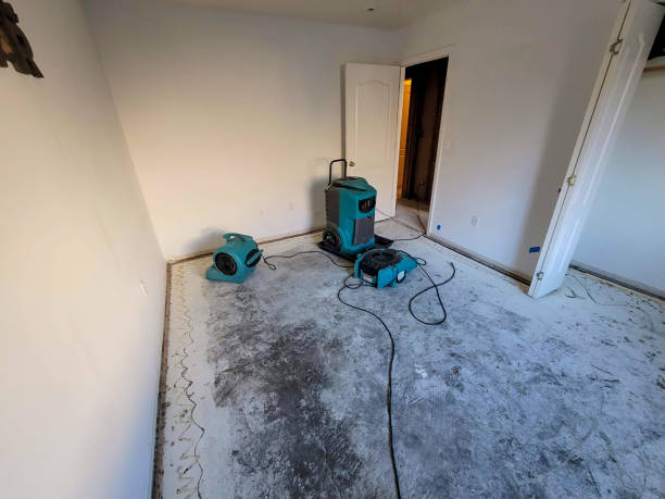 Best Water damage restoration company  in Bagdad, AZ