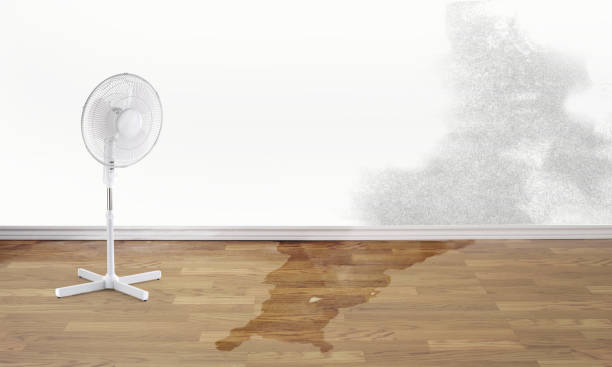 Professional Water damage restoration in Bagdad, AZ