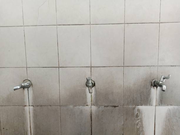 Best Commercial water damage restoration  in Bagdad, AZ
