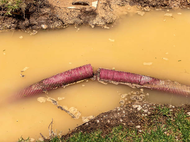 Best Water damage contractors near me  in Bagdad, AZ
